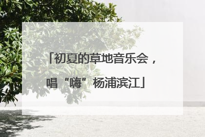 初夏的草地音乐会，唱“嗨”杨浦滨江