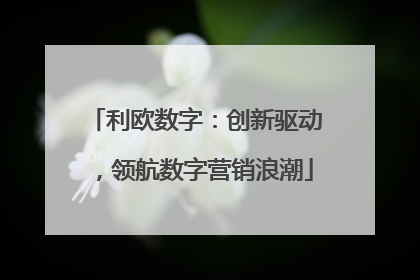 利欧数字：创新驱动，领航数字营销浪潮