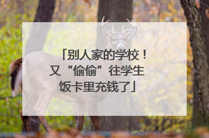 别人家的学校！又“偷偷”往学生饭卡里充钱了