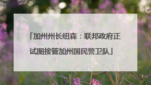 加州州长纽森：联邦政府正试图接管加州国民警卫队