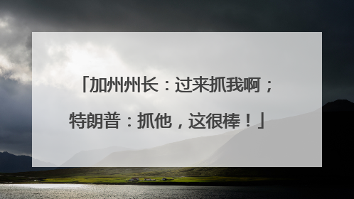 加州州长：过来抓我啊；特朗普：抓他，这很棒！