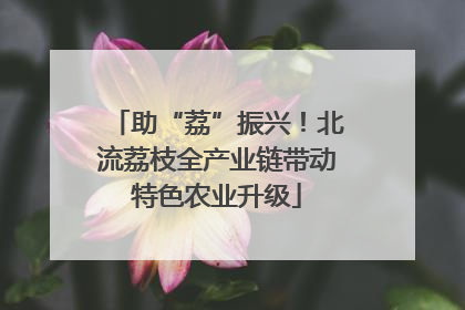 助“荔”振兴！北流荔枝全产业链带动特色农业升级