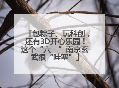包粽子、玩科创，还有3D开心乐园！这个“六一”南京玄武很“哇塞”