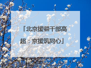 北京援疆干部高超：京援筑同心