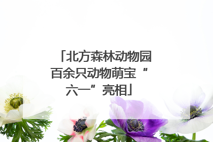 北方森林动物园百余只动物萌宝“六一”亮相