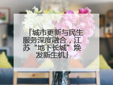 城市更新与民生服务深度融合，江苏“地下长城”焕发新生机