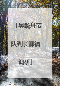 吴毓舟带队到长卿镇调研