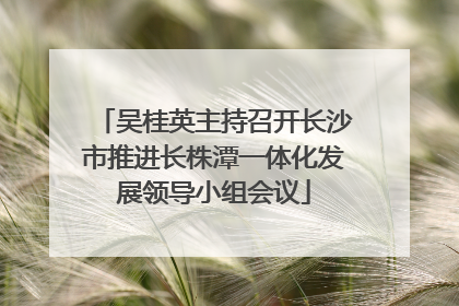 吴桂英主持召开长沙市推进长株潭一体化发展领导小组会议