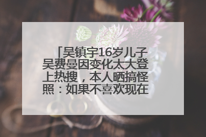 吴镇宇16岁儿子吴费曼因变化太大登上热搜，本人晒搞怪照：如果不喜欢现在的我可以离开