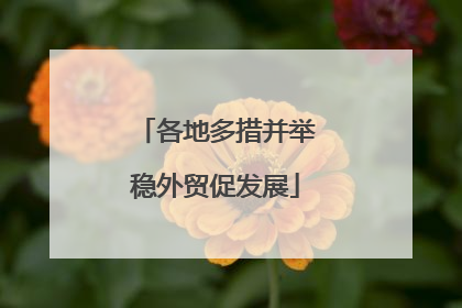 各地多措并举稳外贸促发展