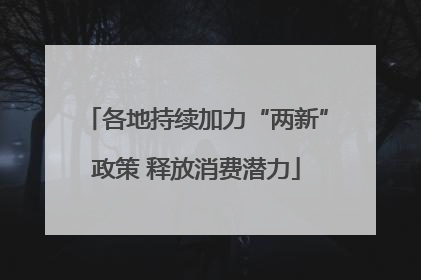 各地持续加力“两新”政策 释放消费潜力