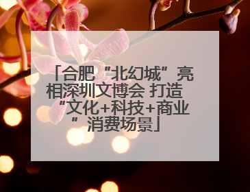 合肥“北幻城”亮相深圳文博会 打造“文化+科技+商业”消费场景