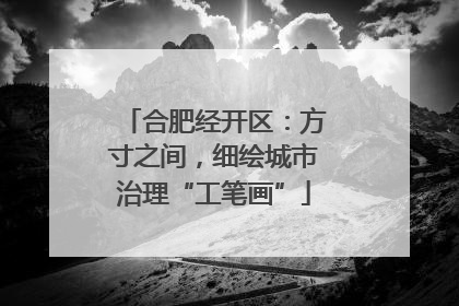 合肥经开区：方寸之间，细绘城市治理“工笔画”