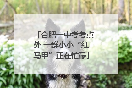 合肥一中考考点外 一群小小“红马甲”正在忙碌