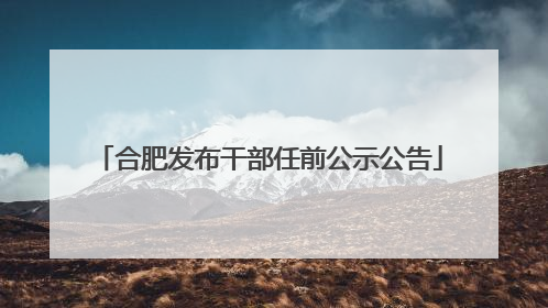 合肥发布干部任前公示公告