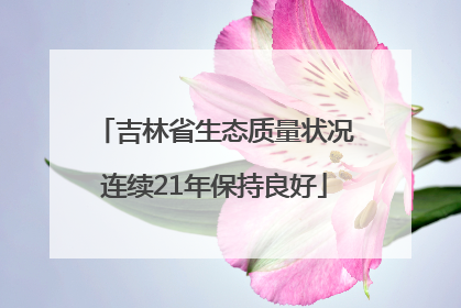 吉林省生态质量状况连续21年保持良好