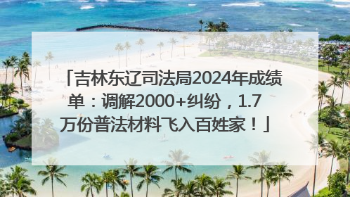 吉林东辽司法局2024年成绩单：调解2000+纠纷，1.7万份普法材料飞入百姓家！