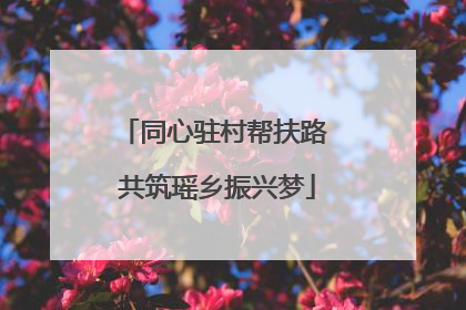 同心驻村帮扶路 共筑瑶乡振兴梦