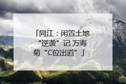 同江：闲置土地“逆袭”记 万寿菊“C位出道”