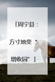 周宁县：方寸地变“增收园”