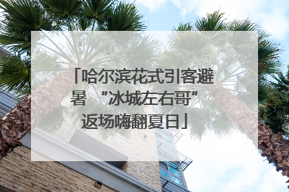 哈尔滨花式引客避暑 “冰城左右哥”返场嗨翻夏日