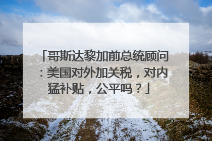 哥斯达黎加前总统顾问：美国对外加关税，对内猛补贴，公平吗？
