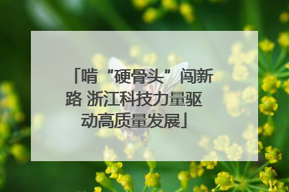 啃“硬骨头”闯新路 浙江科技力量驱动高质量发展