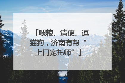 喂粮、清便、逗猫狗，济南有帮“上门宠托师”
