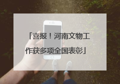 喜报！河南文物工作获多项全国表彰