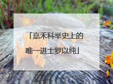 嘉禾科举史上的唯一进士罗以纯