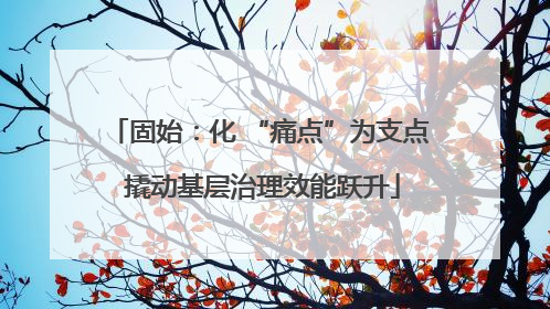 固始：化 “痛点”为支点 撬动基层治理效能跃升
