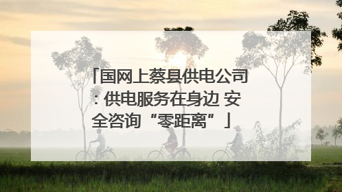 国网上蔡县供电公司：供电服务在身边 安全咨询“零距离”