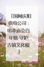 国网庆阳供电公司：电牵庙会百年情 守护古镇文化根