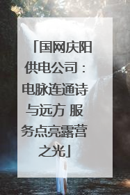 国网庆阳供电公司：电脉连通诗与远方 服务点亮露营之光