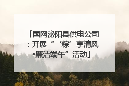 国网泌阳县供电公司：开展“‘粽’享清风 •廉洁端午”活动