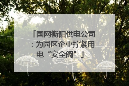 国网衡阳供电公司：为园区企业拧紧用电“安全阀”