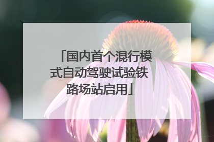 国内首个混行模式自动驾驶试验铁路场站启用