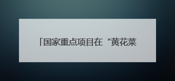 国家重点项目在“黄花菜之乡”湖南祁东研讨创新