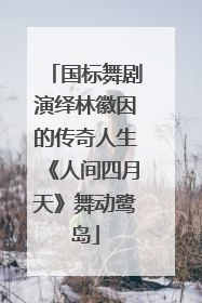 国标舞剧演绎林徽因的传奇人生《人间四月天》舞动鹭岛