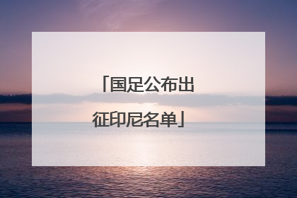 国足公布出征印尼名单