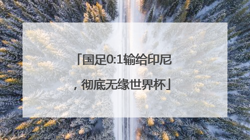 国足0:1输给印尼，彻底无缘世界杯