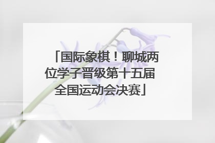国际象棋！聊城两位学子晋级第十五届全国运动会决赛