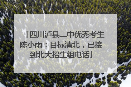 四川泸县二中优秀考生陈小雨：目标清北，已接到北大招生组电话