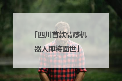 四川首款情感机器人即将面世