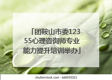 团鞍山市委12355心理咨询师专业能力提升培训举办