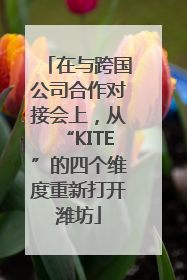 在与跨国公司合作对接会上，从“KITE”的四个维度重新打开潍坊