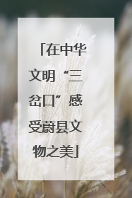 在中华文明“三岔口”感受蔚县文物之美