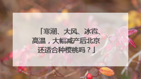 寒潮、大风、冰雹、高温，大幅减产后北京还适合种樱桃吗？