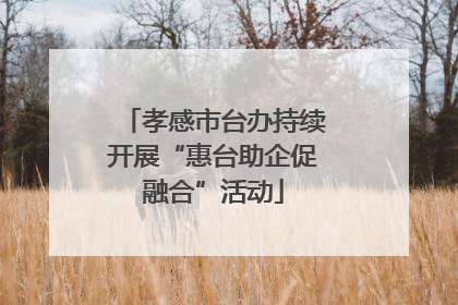 孝感市台办持续开展“惠台助企促融合”活动