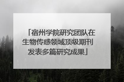 宿州学院研究团队在生物传感领域顶级期刊发表多篇研究成果